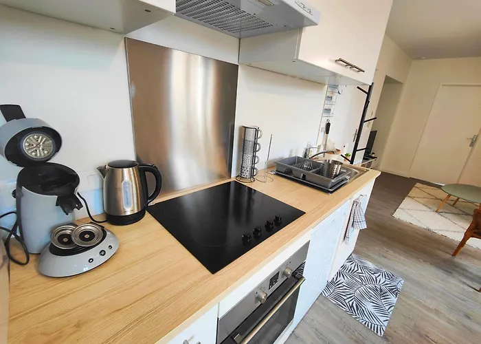 2 Apparts, Riom, 8 Pers Appartement Riom