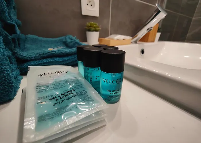 2 Apparts, Riom, 8 Pers Appartement Riom